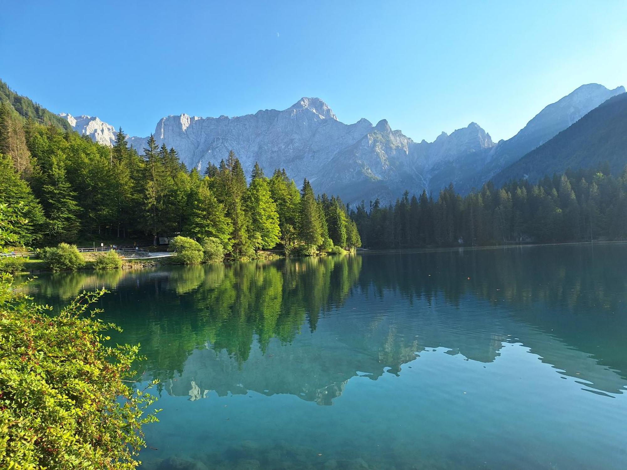 Апартаменти Alpska Roza Кранська Гора Екстер'єр фото